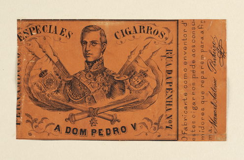 vizualizar o documento on line